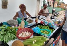 Matinha, Viana e mais 42 municípios são contemplados com programa de compras da agricultura familiar