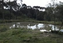 Vítimas e sobrevivente de raio que atingiu três pessoas em Viana são identificadas