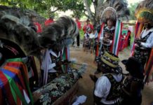 Maior e mais importante grupo da cidade, Boi Flor de Matinha tem história contada em documentário