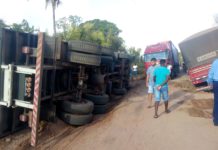 Caminhão carregado de madeiras tomba na MA-014 em Matinha