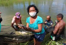 Piscicultura é alternativa de renda para comunidade quilombola em Viana
