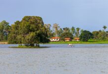 Baixada: SEMA lança concurso de fotografia ambiental