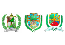 Prefeitura de Matinha abre votação para escolha de brasão oficial do município; saiba como votar Prefeitura de Matinha abre votação para escolha de brasão oficial do município; saiba como votar