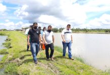 Banco do Brasil estreita parceria para apoio aos piscicultores em Matinha Banco do Brasil estreita parceria para apoio aos piscicultores em Matinha
