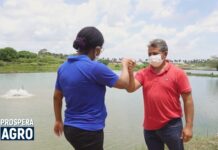 VÍDEO: Casos de sucesso da piscicultura em Matinha é destaque em série de reportagens do Sebrae Nacional Casos de sucesso da piscicultura em Matinha é destaque em série de reportagens do Sebrae Nacional