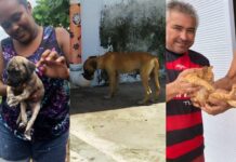 ESPECIAL: Conheça o projeto ‘Adota Arari’, que incentiva a adoção de animais abandonados na terra da melancia Conheça o projeto ‘Adota Arari’ que promove a adoção de animais abandonados