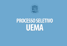 UEMA abre seletivo com vagas para tutor presencial em Arari, Penalva e Viana