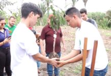 Fórum da Baixada faz plantio de mudas de mangueiras em Matinha